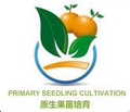 湖哥果苗