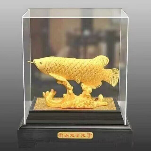 新朋水族