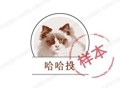 哈哈投鞋店