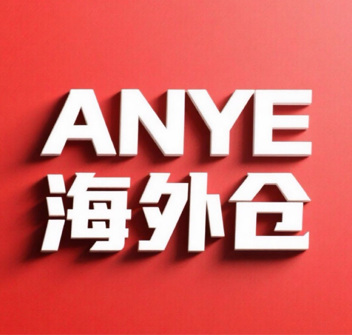 ANYE海外仓 店铺LOGO