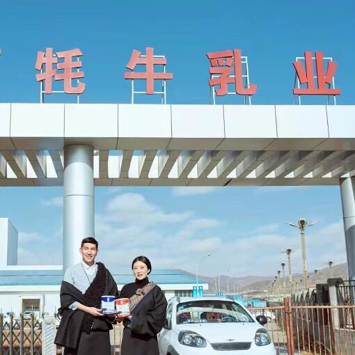 红原牦牛奶粉营销店