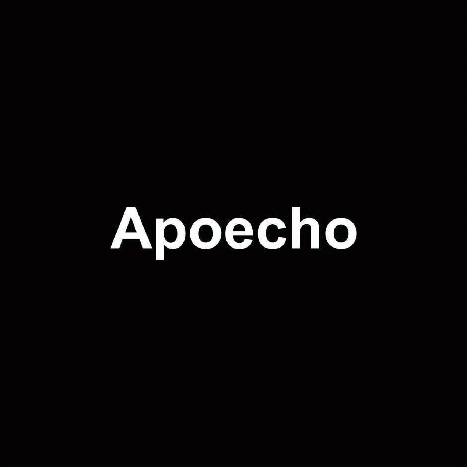 Apoecho企业店 店铺LOGO