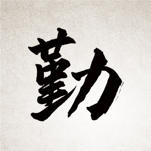 上海勤臣五金弹簧