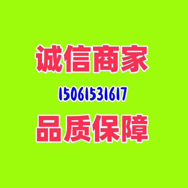 品牌ups电源蓄电池