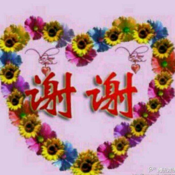 衣尚之恋99